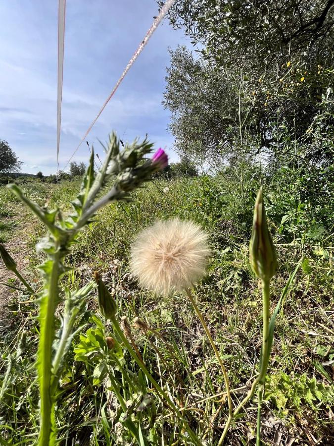 La Romantica Congenies Kültér fotó